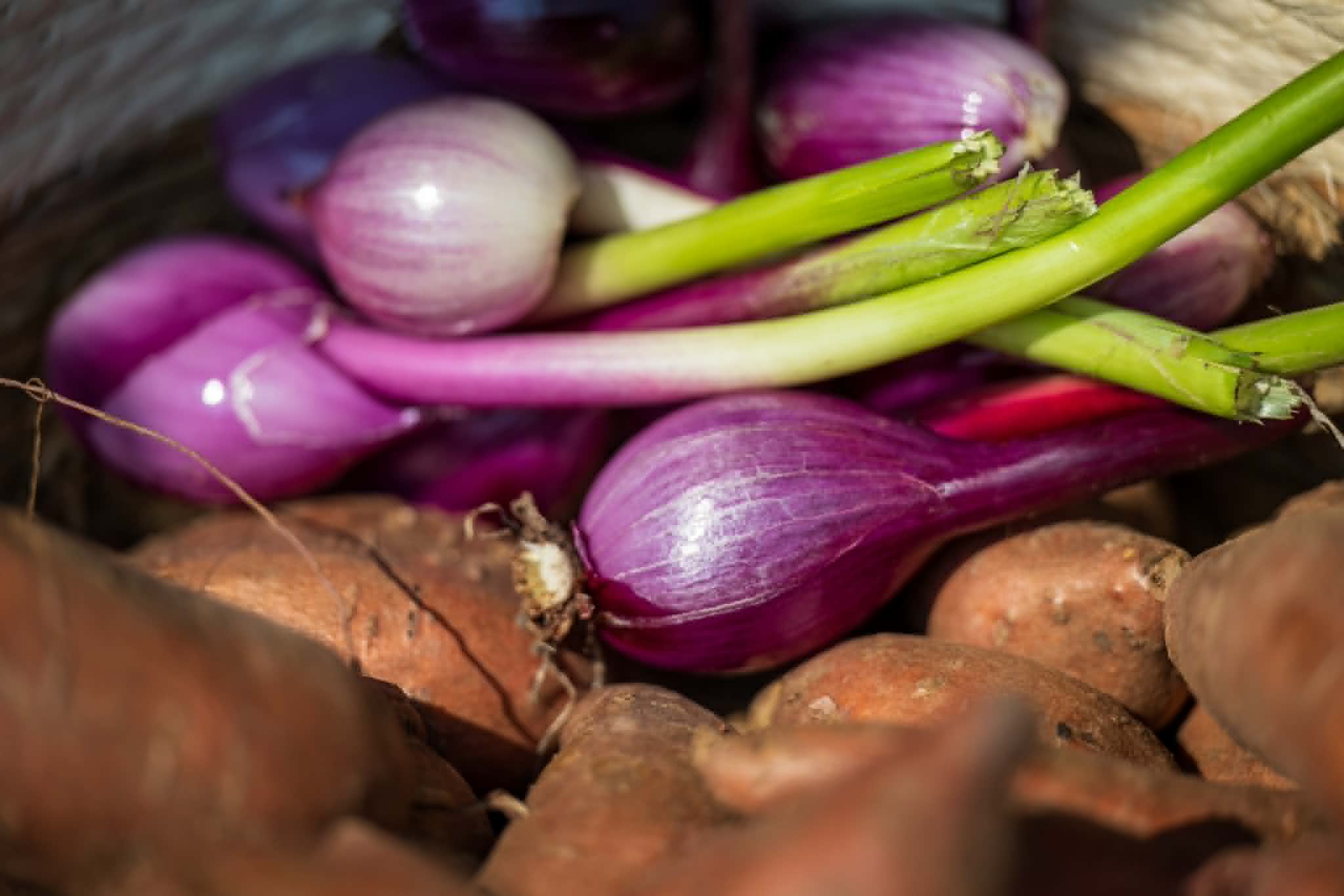Fresh onions