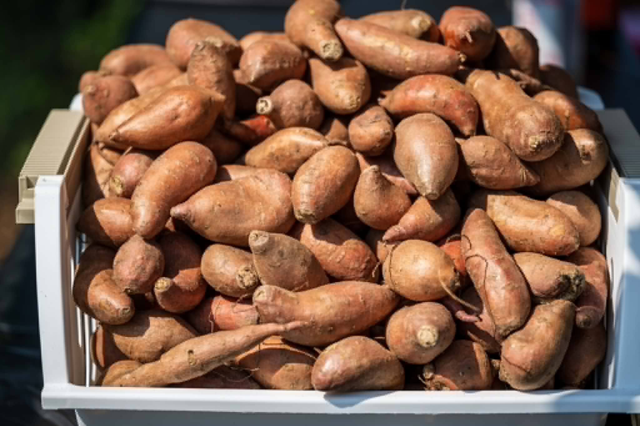 Sweet potatoes